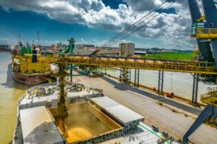 Milho melhorando nos portos