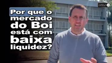 Boi gordo tem preços firmes, baixa liquidez e estabilidade para mercado da carne