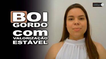 Boi gordo com preços firmes e preenchimento de escalas com fêmeas, informa Isabela Zavatti, do CEPEA