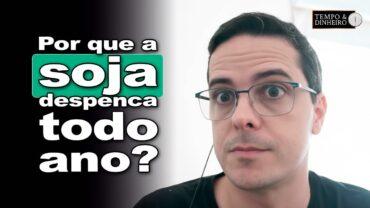 Soja com sazonalidade da safra nos EUA .”Há 50 anos os preços caem nesse período”