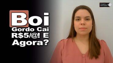 Boi gordo pressionado perde até R$ 5,00 @. Tendência? Isabela Zavatti, do CEPEA, comenta