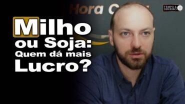 Preço e relação de troca com soja. Milho traz maior rentabilidade? Victor Cazzo explica