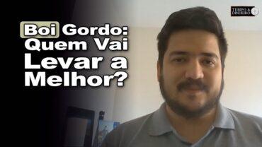 Boi gordo: Queda de braço entre indústria e pecuaristas!
