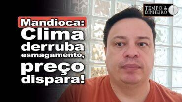 Mandioca: clima pesa com queda de 13% no esmagamento e alta de 7,5% nos preços comenta Fábio Isaías