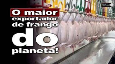 Brasil é o maior exportador de carne de frango do mundo. Cabrera mostra a tecnologia na produção
