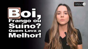 Boi gordo x suíno x frango: qual melhor relação de troca? Isabella Camargo comenta