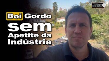 Boi gordo com fraca demanda com pouca procura por parte da indústria, analisa Thiago Bernardino