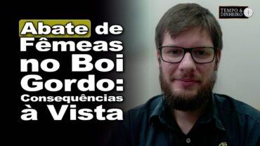 Boi gordo: abate de fêmeas é histórico e impacto será sentido em 2026/27