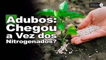 Adubos e fertilizantes: hora dos nitrogenados, alerta Victor Cazzo, do Venda na Hora Certa