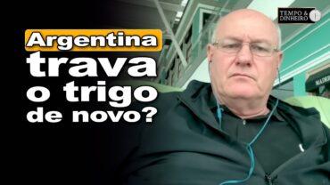 Argentina surpreende: retenciones voltam e impacto no trigo preocupa mercado