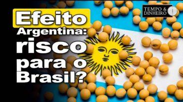 Soja: Argentina zera retenciones até 31/10; Brasil pode perder espaço, dizem especialistas