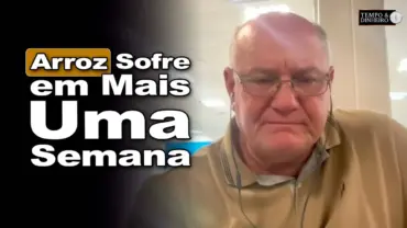 Arroz enfrenta mais uma semana instável e mercado segue cheio de incertezas