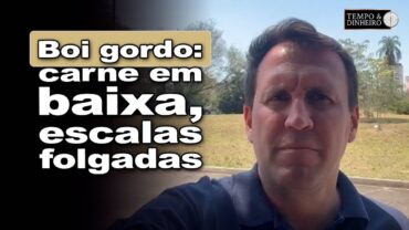 Boi gordo: escalas confortáveis com confinamentos e carne em baixa, comenta Bernardino, do CEPEA
