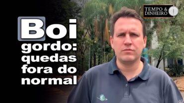 Boi gordo: quedas atípicas em setembro e escalas com vendas a termo, comenta Thiago Bernardino