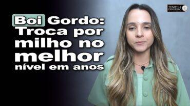 Boi gordo: melhora movimentação no atacado e relação de troca por milho é a melhor desde 2017