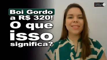Boi gordo: arroba negociada a R$ 320 em São Paulo com ligeira alta para carne com osso