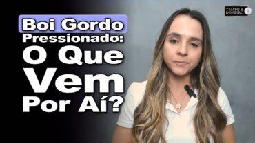 Boi gordo abre segunda quinzena pressionado. O quê esperar para as próximas semanas?