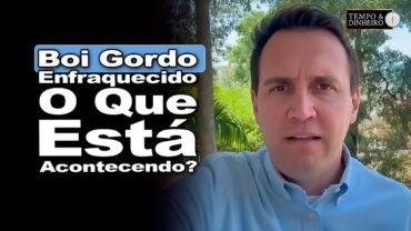 Boi gordo chega ao final do mês enfraquecido e pressionado no balcão, informa Thiago Bernardino
