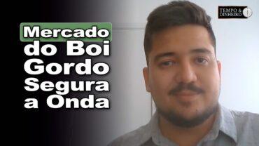 Boi gordo tem sexta-feira com cenário de estabilidade e compradores abastecidos, informa Luis Susumo