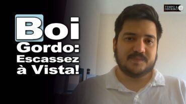 Boi gordo: exportações ajudam a enxugar mercado e sobram poucos animais no mercado spot
