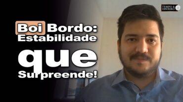 Boi bordo com estabilidade e ajustes pontuais, informa Gustavo Susumo, do CEPEA