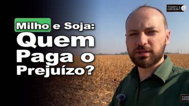 Soja e milho: quando a soja atrasa quem paga a conta? Victor Cazzo explica