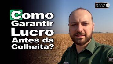 Safra a caminho! Como fazer um planejamento que garanta rentabilidade? Victor Cazzo explica