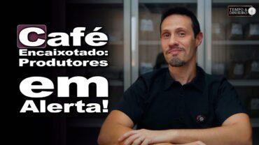 Café “encaixotado” aumenta ansiedade dos produtores, informa Bruno Labs