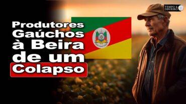 Dívidas sufocam produtores gaúchos e geram dúvidas para próxima safra