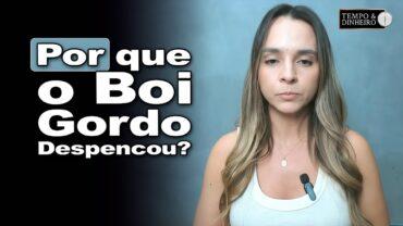 Boi gordo com baixa movimentação no mercado spot e queda de preços, informa Isabella Camargo