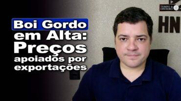 Boi gordo: exportações seguem batendo recordes e dão relativo suporte aos preços, informa H. Neto