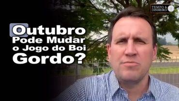 Boi gordo pressionado pelas escalas mais longas e preços no balcão. O que vem em outubro?
