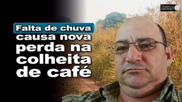 Café: produtor de 2 Córregos, SP, registra mais uma quebra de safra com falta de chuva