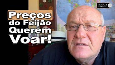 O feijão decidiu tentar o elevador: será que vai conseguir subir? Brandalizze explica