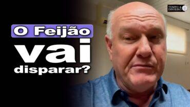 Mercado do feijão mostra movimento inesperado rumo à alta