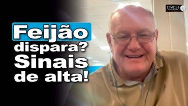 Feijão mostra sinais de alta e surpreende o mercado