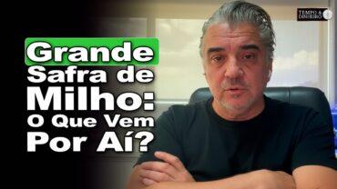 Milho de lado com grande safra no Brasil e nos EUA. O que esperar daqui pra frente?