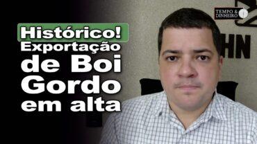 Boi gordo: preço médio das exportações é histórico, informa Hyberville Neto