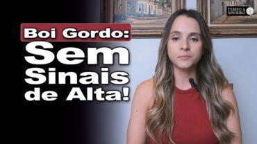 Boi gordo segue com preços de lado, informa Isabella Camargo, da HN Agro