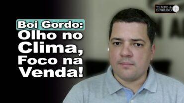 Boi gordo e reposição: um olho no clima outro na comercialização neste último trimestre