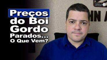 Boi gordo segue “testado” e com preços de lado. O que esperar para próxima quinzena?