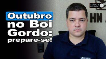 Boi gordo: o que esperar das negociações para outubro? Hyberville Neto comenta
