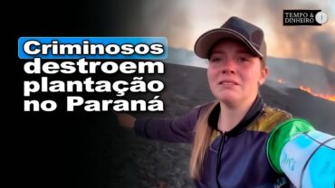Incêndio criminoso destrói área a ser cultivada no Paraná. Veja o desespero da produtora