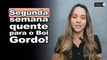 Boi gordo firme dá início a segunda semana de setembro de olho no comercio de carne