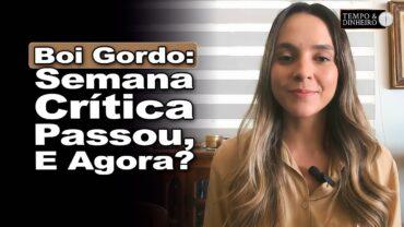 Boi gordo: encerrada semana mais crítica do mês no atacado e varejo? O que vem por aí?