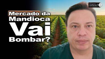 Mandioca: mercado com tendência de alta? Fábio Isaías Felipe do CEPEA explica
