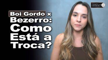 Boi gordo e reposição. Como está a relação de troca @X bezerro? Isabella Camargo comenta