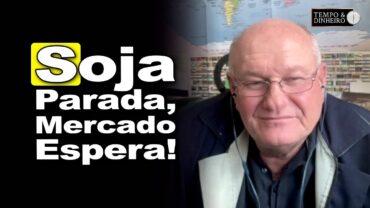 Soja tranquila: como o mercado reage em dias de calmaria