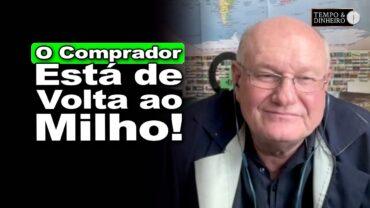 Comprador retorna ao milho e agita o mercado, Vlamir Brandalizze comenta o mercado