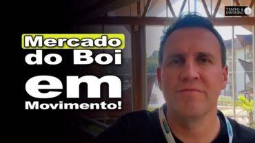 Boi tem ajustes pontuais de olho no atacado, varejo e exportações, informa Thiago Bernardino
